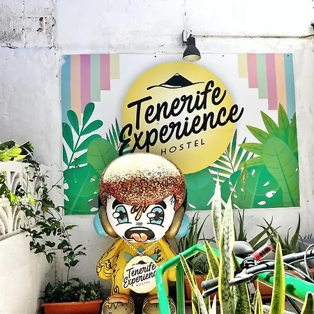 Tenerife Experience