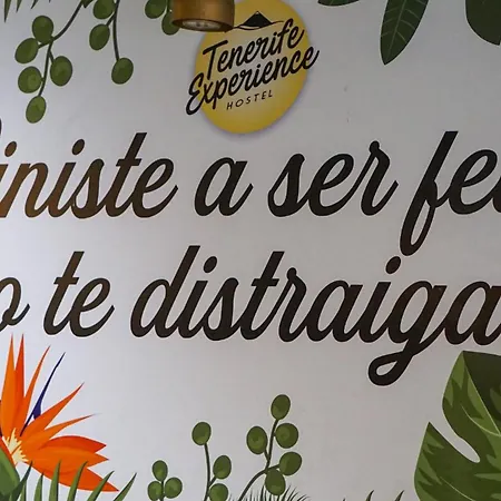 Tenerife Experience ゲストハウス