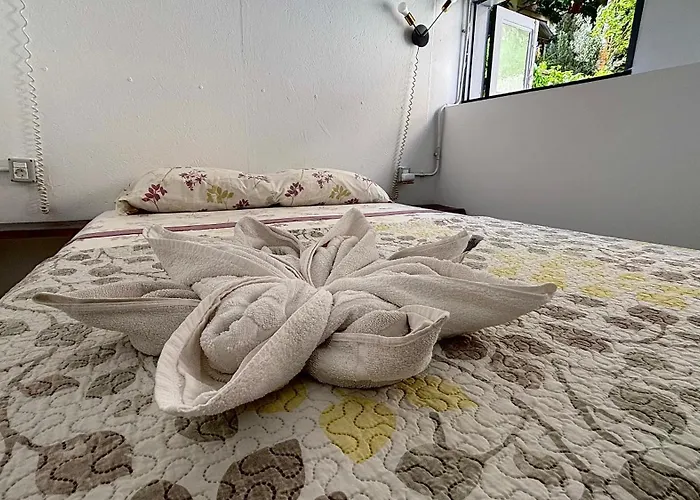 Tenerife Experience Pensionat 2*