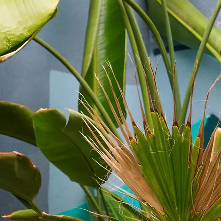 Casa de hóspedes Tenerife Experience 2*