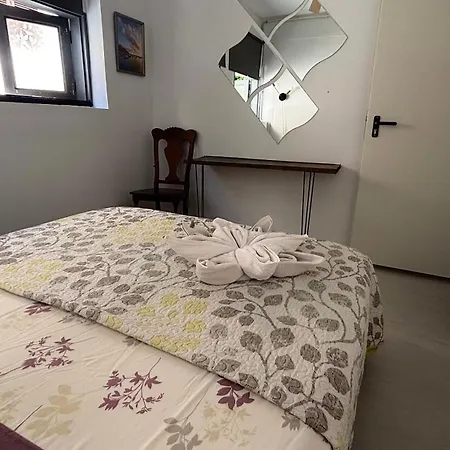 Tenerife Experience Maison d'hôtes Santa-Cruz de Ténérife
