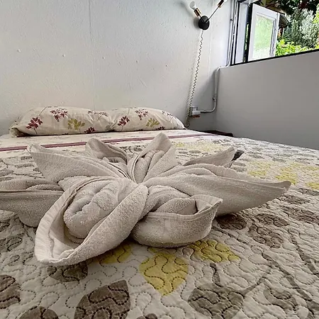 Tenerife Experience Casa de hóspedes 2*