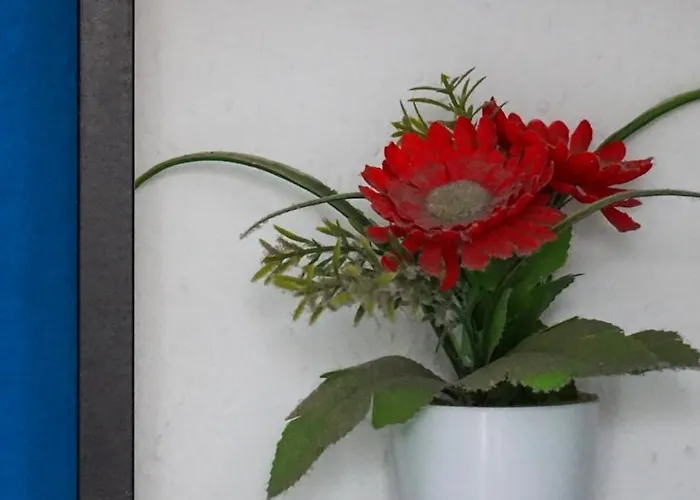 בית הארחה Tenerife Experience