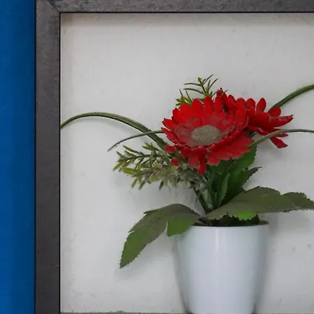 Pensionat Tenerife Experience